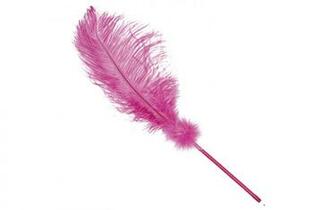 Wallpaper Feathers