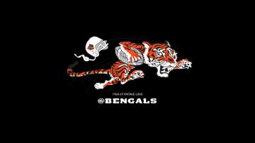 Cincinnati Bengals Fans Wallpaper