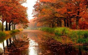 Autumn Rain Splendor