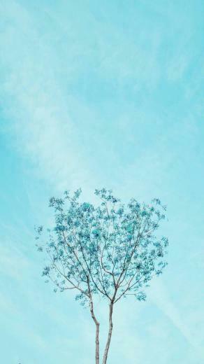 Blue Aesthetic Phone Wallpaper Top