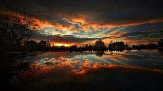 HD Wallpaper 1080p Catus In The Sunset Chronicle Of Nature