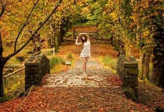 Old Bridge Wallpaper Desktop Goodwp