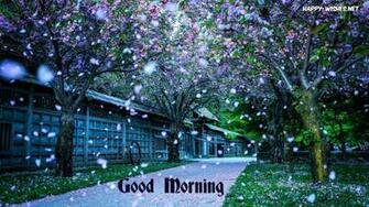 Good Morning Nature Image Beautiful Wallpaper