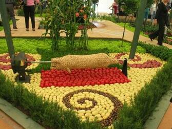 Vegetable Garden Wallpaper Odd