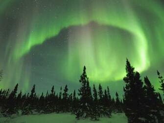 Aurora Borealis Manitoba Canada Wallpaper Imgprix
