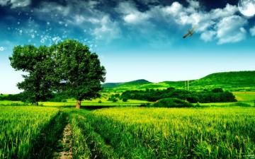 Tree Walpaper Wallpaper Teahub Io