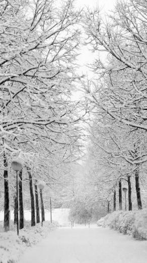Winter