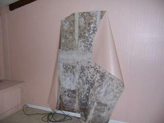Mold