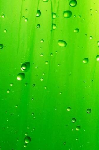 Green Raindrops Wallpaper For iPhone Photos Of