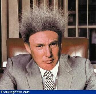 Funny Gallery Donald Trump
