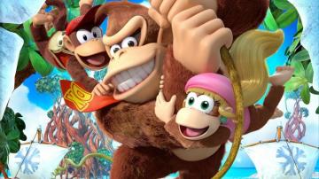 Donkey Kong Country Tropical Ze HD Wallpaper