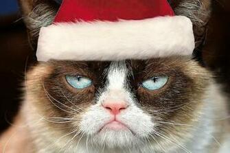 Grumpy Cat Christmas By
