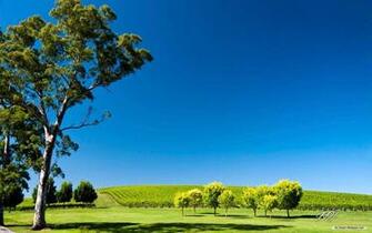 Australia Scenery Wallpaper Travel