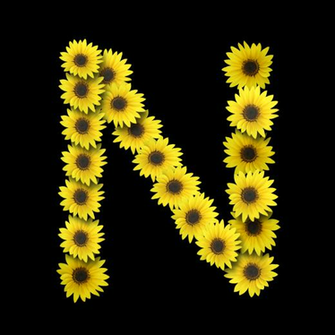 Letters N Wallpaper Picswallpaper