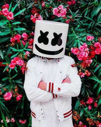 All Eyes On Who Is The Real Marshmello We Intered