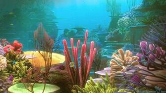 Coral Reef Wallpaper
