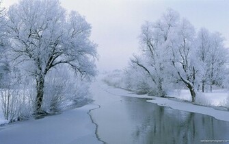 Snow Scenes Wallpaper