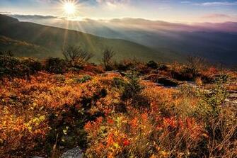 Blue Ridge X Fall Color Along The Parkway Near Waterrock