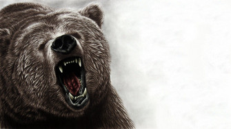 Bear Art Wallpaper High Resolution