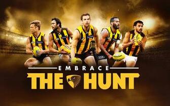 Wallpaper Hawthornfc Au
