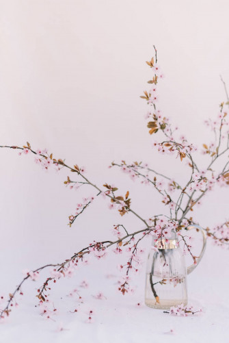 Pink Flowers Aesthetic Photography Wallpaper