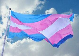 Auckland Transgender Ball Postponed Express Magazine