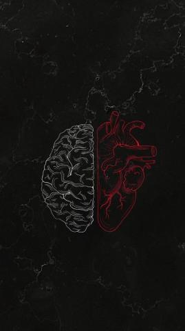 Brain Vs Heart iPhone Wallpaper