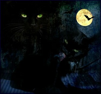 Halloween Cats Wallpaper