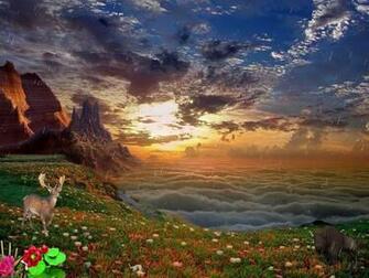 Nature Reserve Screensaver Breathtaking S And Rarest Animals