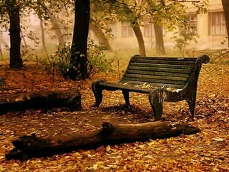 Beautiful Autumn Scenery Travel Pictures
