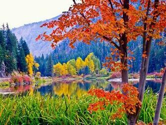 Nature Photos Wildlife Pictures Landscape Wallpaper National