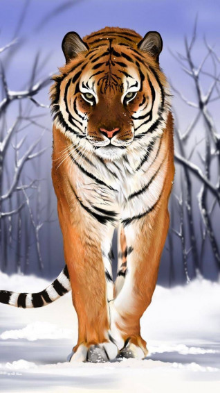 C9aa7896ec1efeaf8c5fbc66d7c35506 Wallpaper