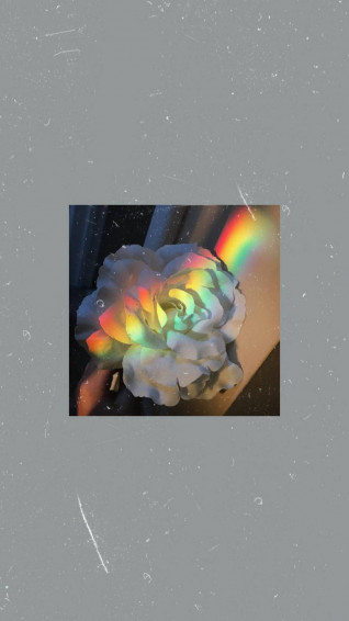 Rainbow Aesthetic Wallpaper