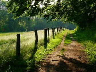 Fence Field My Way Into The Summersun By Dieffi Nature Fields HD