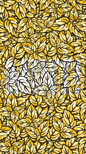 Mint Gold iPhone5 Wallpaper By Yumgsta
