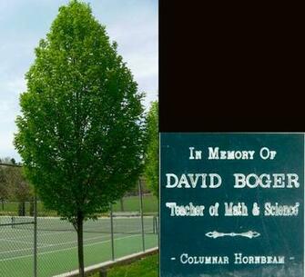 The Tree Planted In Dad S Memory Rising Park Plaque Reads
