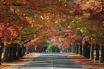 Beautiful Desktop Wallpaper Background Amazing