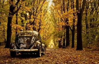 Volkswagen Beetle Wallpaper Wallpaperlepi
