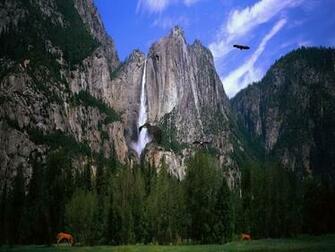 Nature Screensaver Eagles Kingdom Fullscreensavers