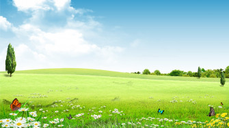 Artistic Landscape HD Wallpaper