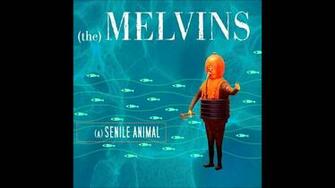 Melvins A Senile Animal Full Album HD Desert Trip