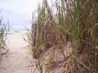 Family Vacation At Myrtle Beach Places To See