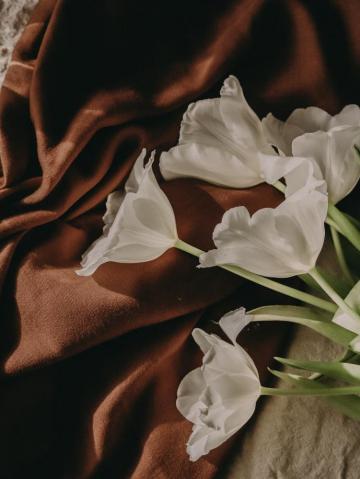 Brown Aesthetic Pictures Image