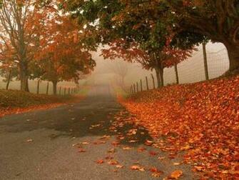 Fall Scenery River And Autumn Colors