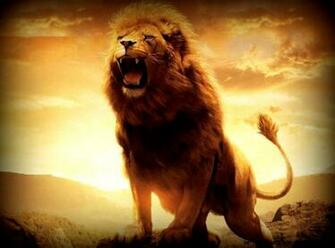 Angry Lion Wallpaper HD 1080p Amazing