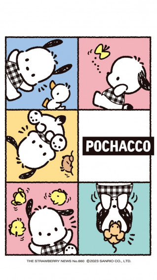 Pochacco X Strawberry News Feb In Hello