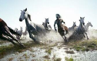Herd Of Horses Wallpaper And Image Pictures Photos
