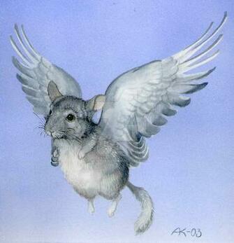 Chinchilla Angel By Akbergkvist
