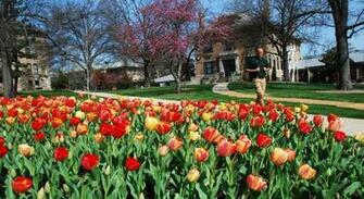 Missouri University Of Science Technology Rolla Mo In Photos