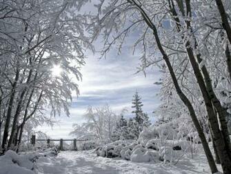 Beautiful Snow Scene2